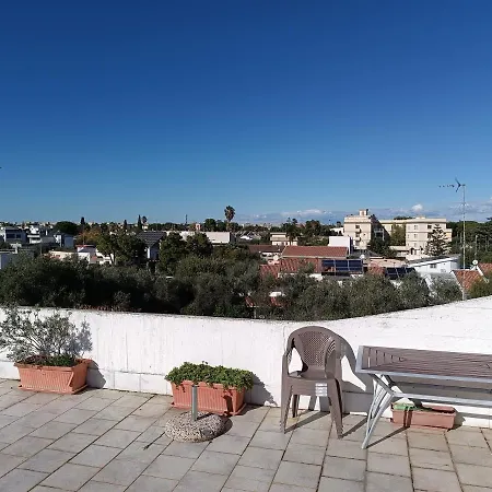 The Terrace Of The Artists Apartment